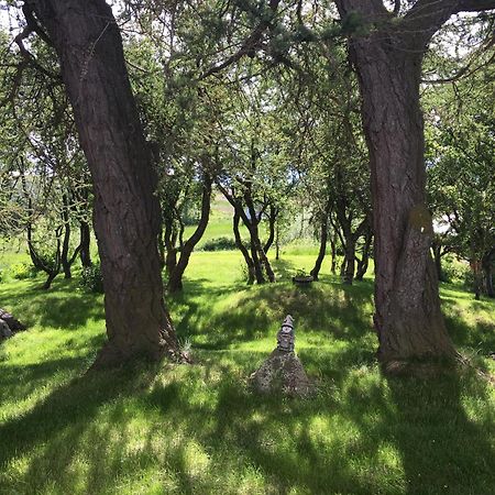 Helluland Guesthouse Saudarkrokur Bagian luar foto