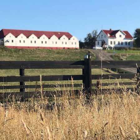 Helluland Guesthouse Saudarkrokur Bagian luar foto