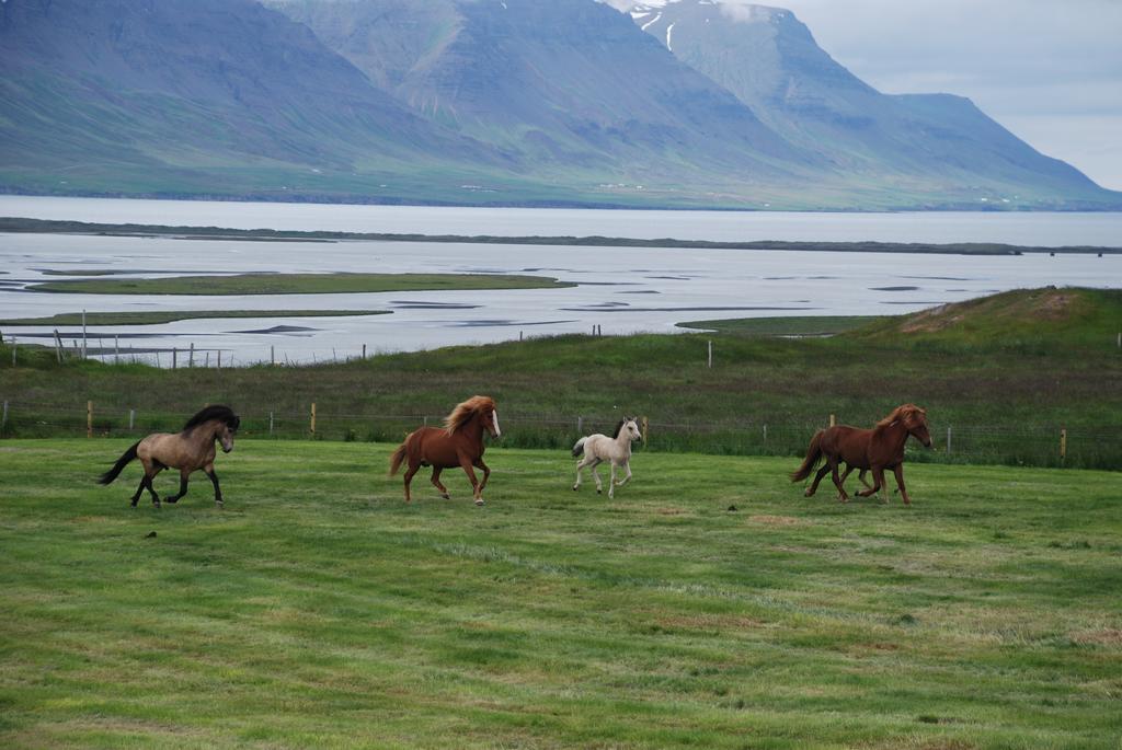 Helluland Guesthouse Saudarkrokur Bagian luar foto
