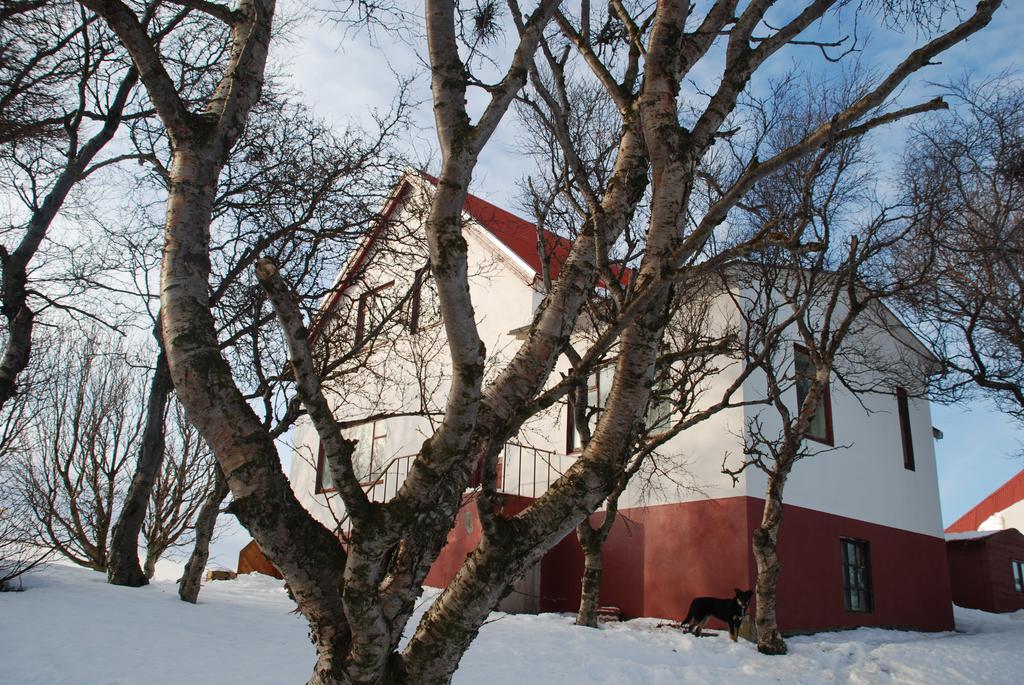 Helluland Guesthouse Saudarkrokur Bagian luar foto