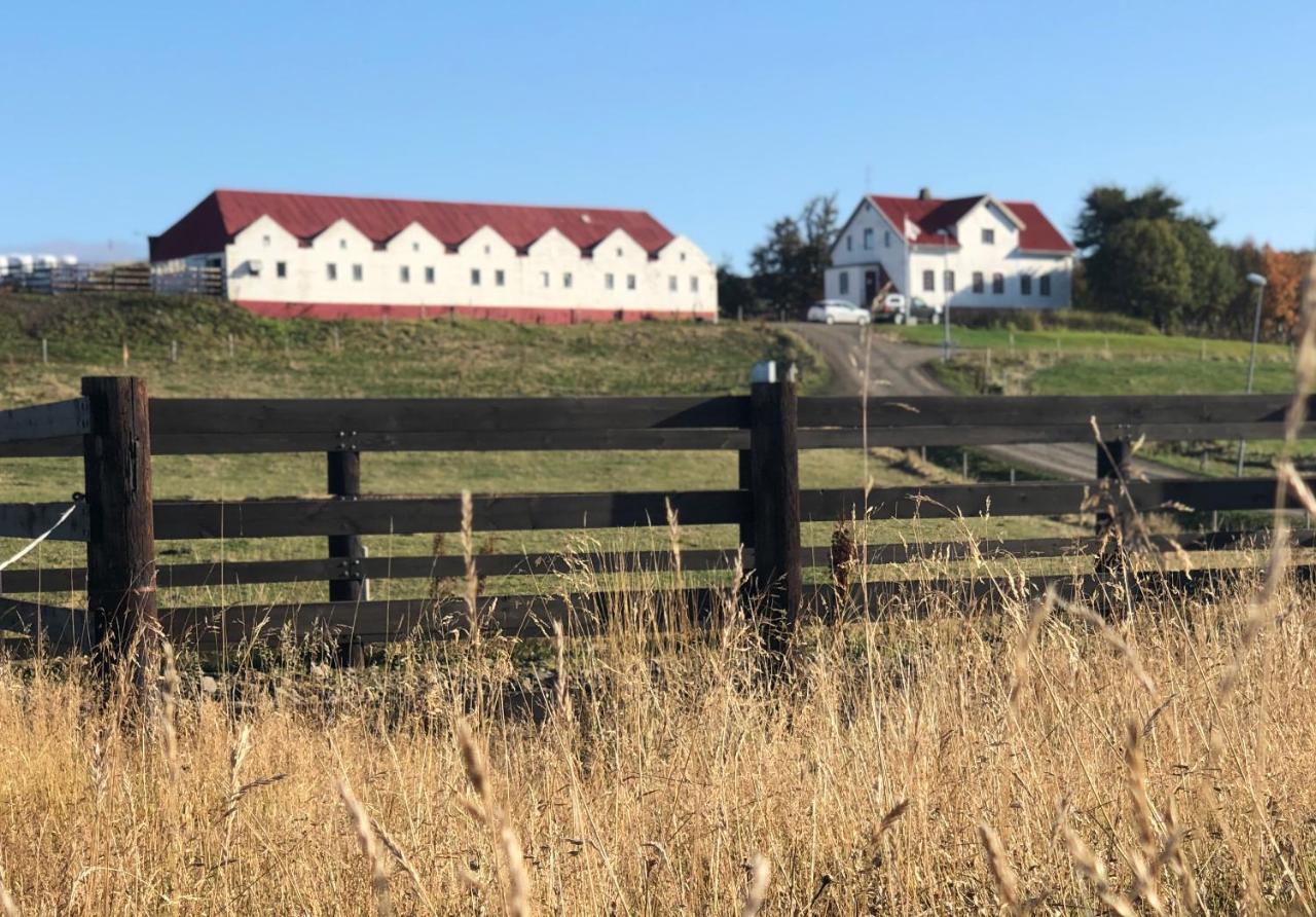 Helluland Guesthouse Saudarkrokur Bagian luar foto